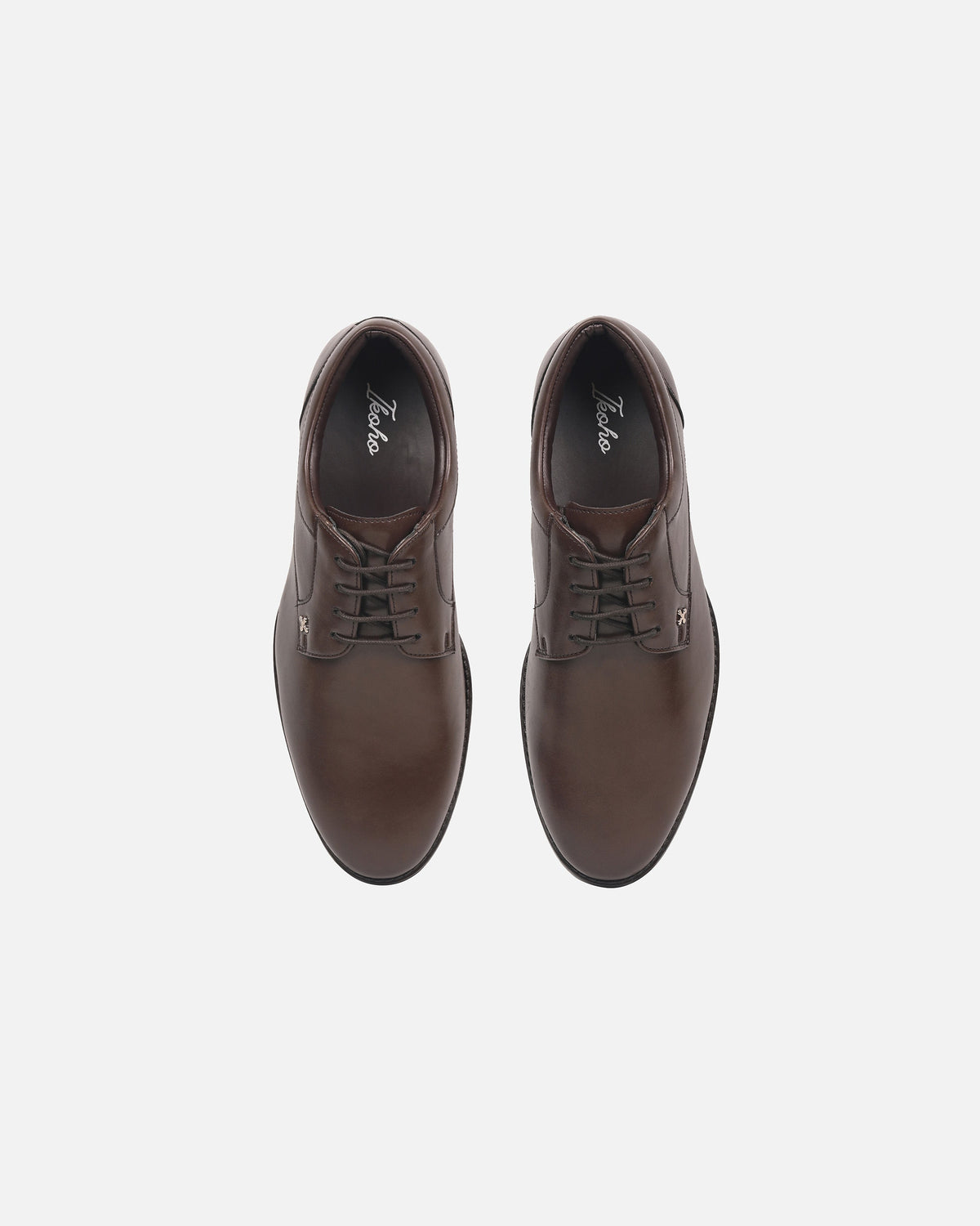 BLACK EYE DERBY BROWN